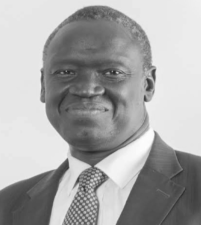 Portrait of Joseline Ogai